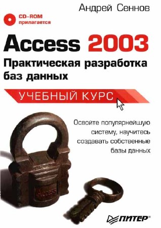 Access 2003. Практическая разработка баз данных