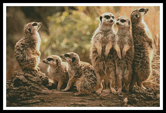 Artecy Cross Stitch - Meerkat Family