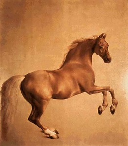 Whistlejacket - George Stubbs