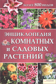 Энциклопедия комнатных и садовых растений - Ю. Бойчук (сост.)